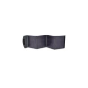 Full Energy SP-100 (242817) (UA)