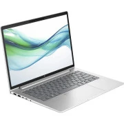 HP ProBook 445 G11 Pike Silver (AD0T4ET) (UA)