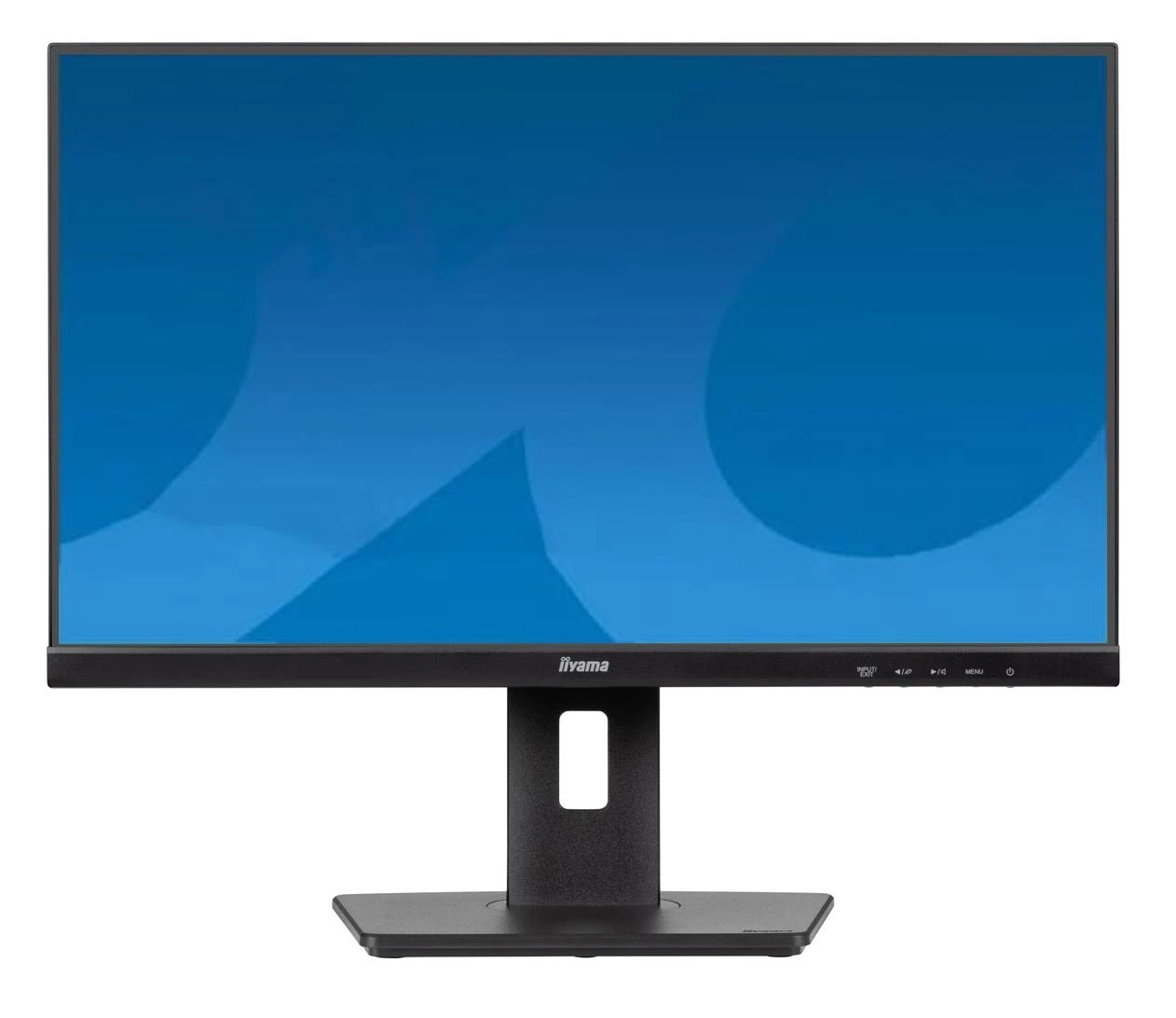 Монитор iiyama ProLite XUB2491H-B1 (XUB2491H-B1) EU