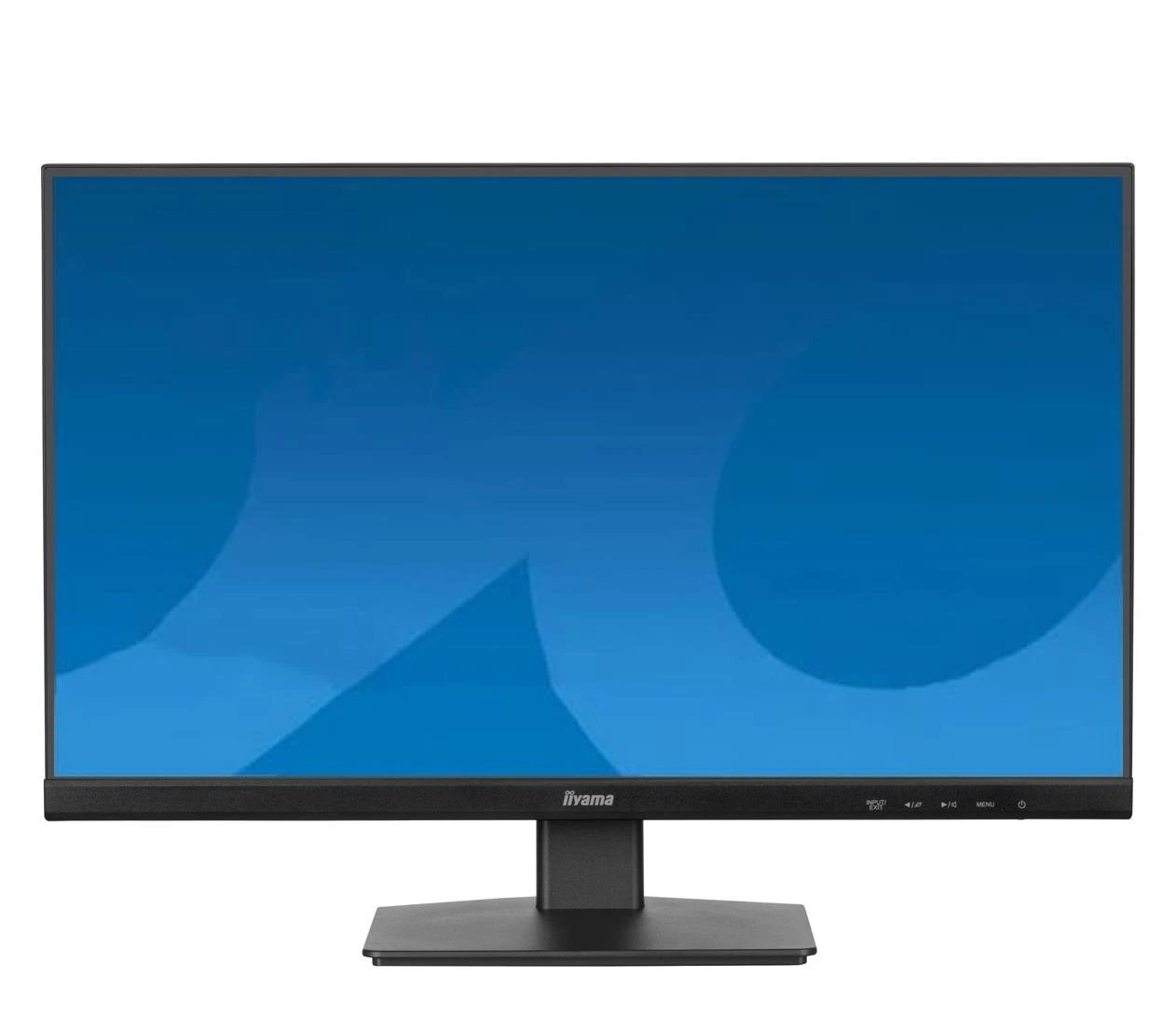 Монитор iiyama ProLite XU2491H-B1 (XU2491H-B1) EU