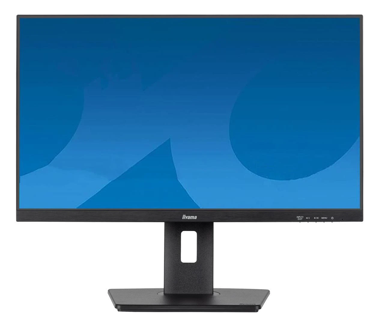 Монітор iiyama Prolite XUB2493HSU-B7 (XUB2493HSU-B7) EU