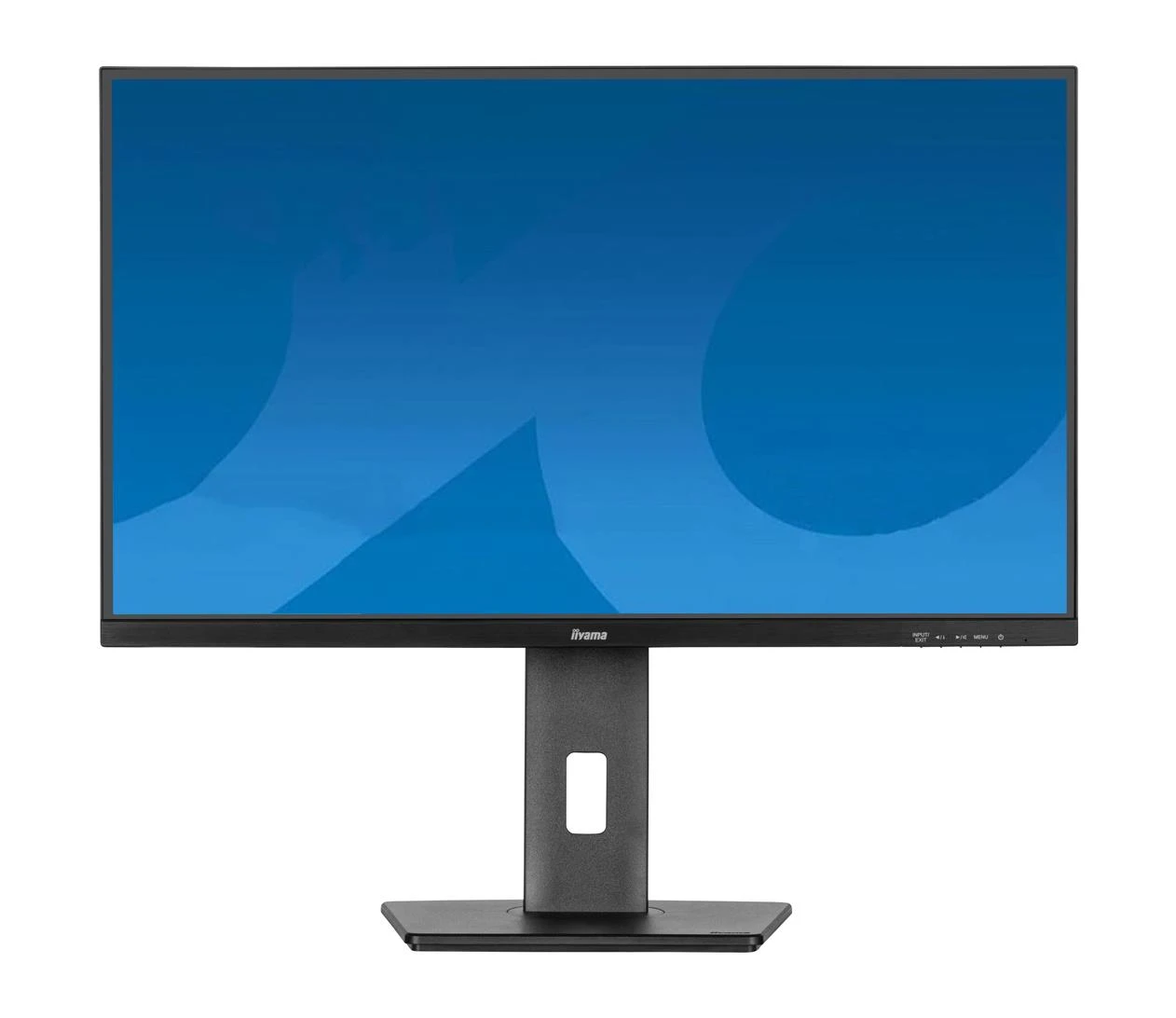 Монитор iiyama ProLite XUB2797HSN-B2 (XUB2797HSN-B2) EU