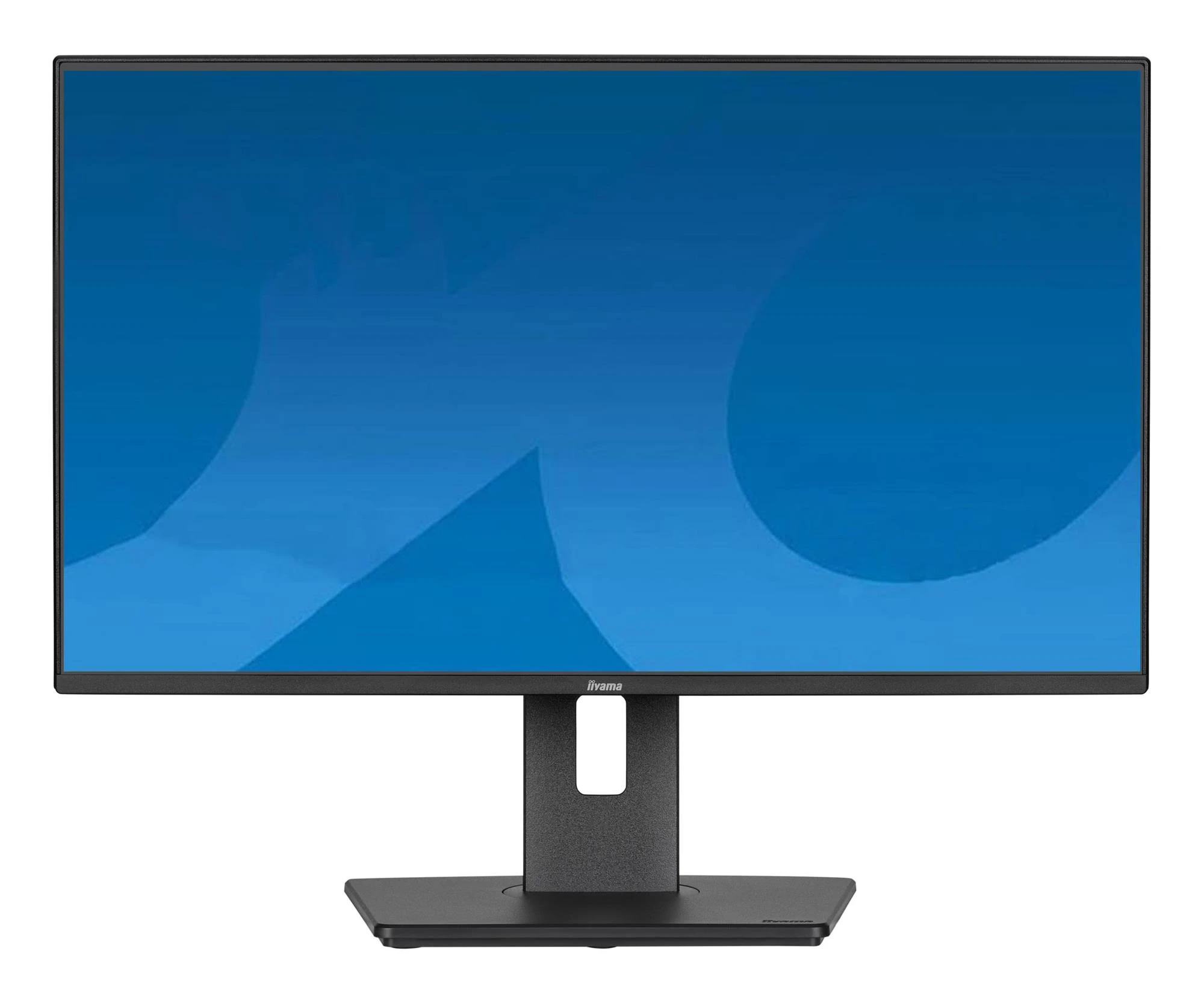 Монитор iiyama ProLite XB2492HSU-B1 (XB2492HSU-B1) EU