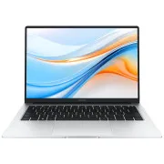 Honor MagicBook X14 Silver (5301AJWP)