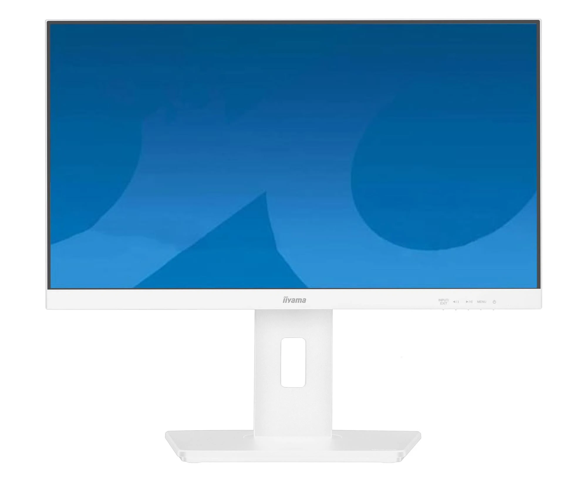 Монітор iiyama ProLite XUB2293HSU-W7 (XUB2293HSU-W7) EU