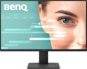 BenQ GW2491E (9H.LNHLJ.LBE) (UA)