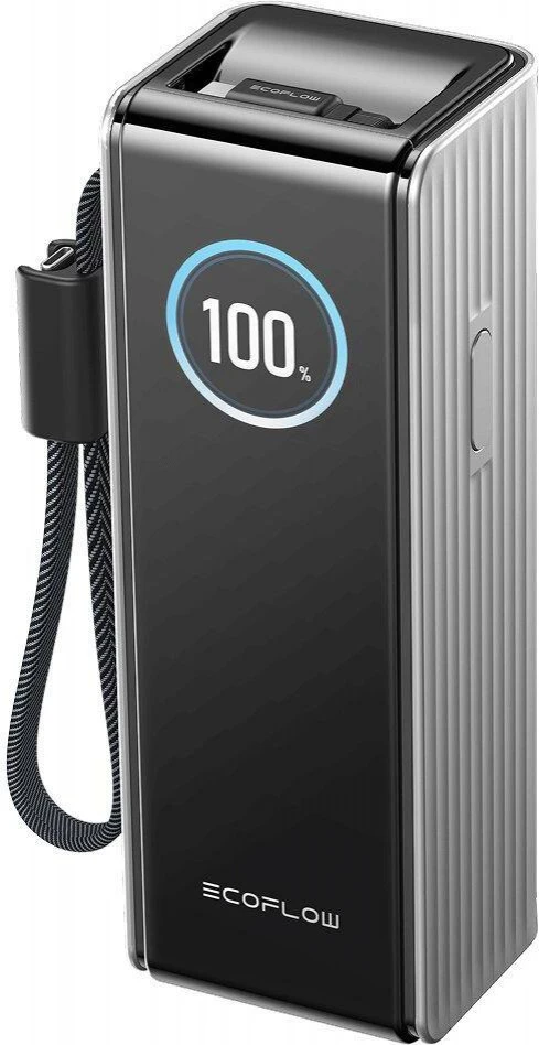 Мобильная батарея EcoFlow RAPID 25000mAh Silver (EF-RAPID25K100W-S-EU) (UA)