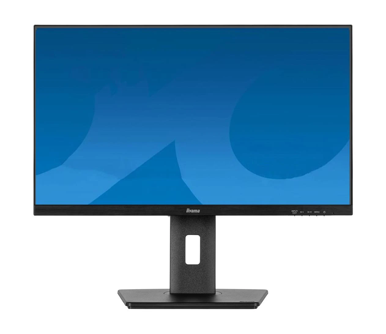 Монитор iiyama ProLite XUB2497HSN-B2 (XUB2497HSN-B2) EU