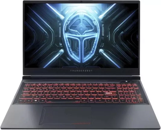 Ноутбук Thunderobot R16 (1NLY0000141)