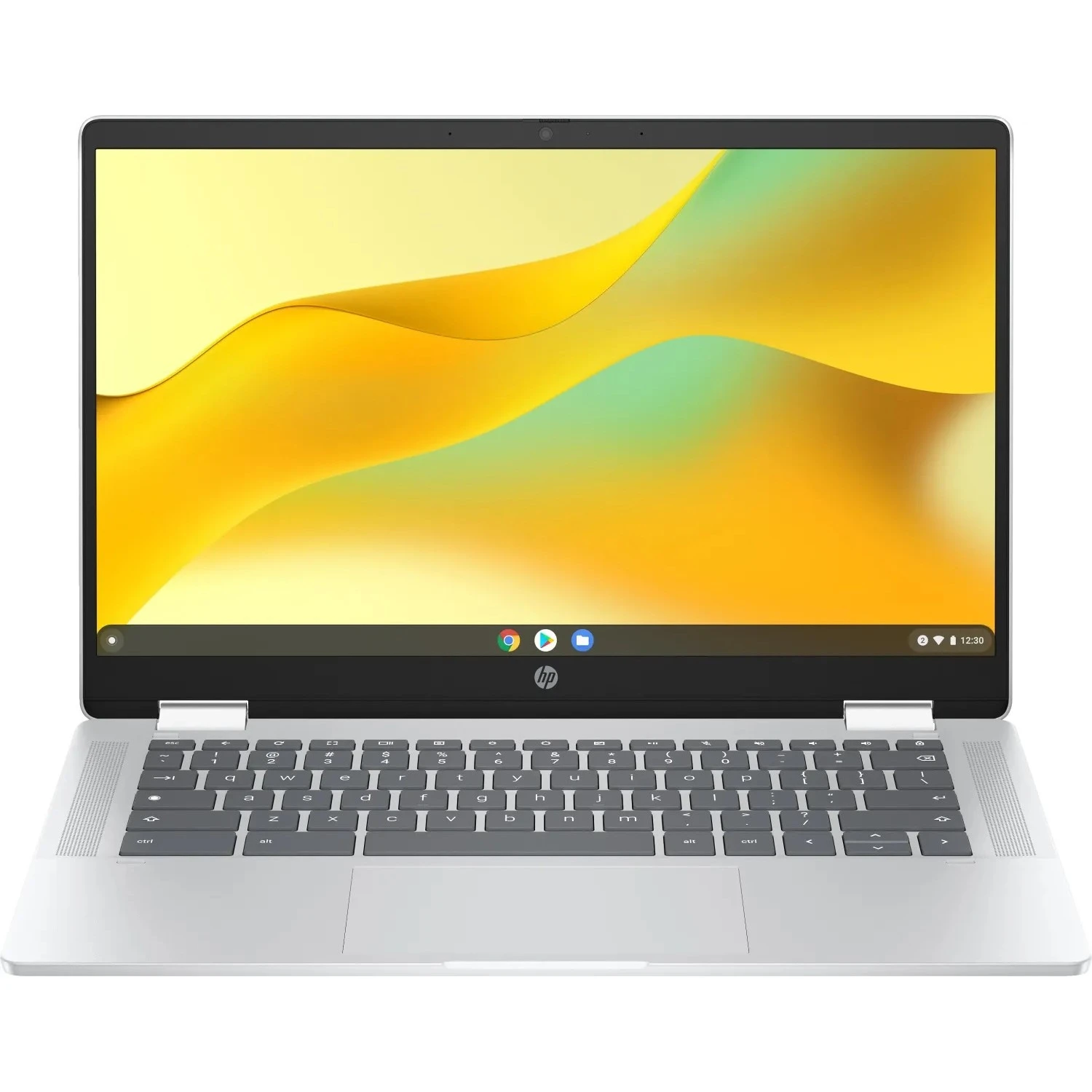 Ноутбук HP Chromebook x360 (198828598608) Silver (UA)