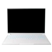 Thunderobot RS16 (RS16-I9139HX56E1Q240ARC) (UA)