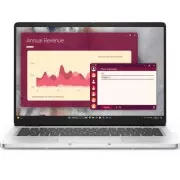 Dell Pro 14 (BTO106PC14250UA_W11P) (UA)