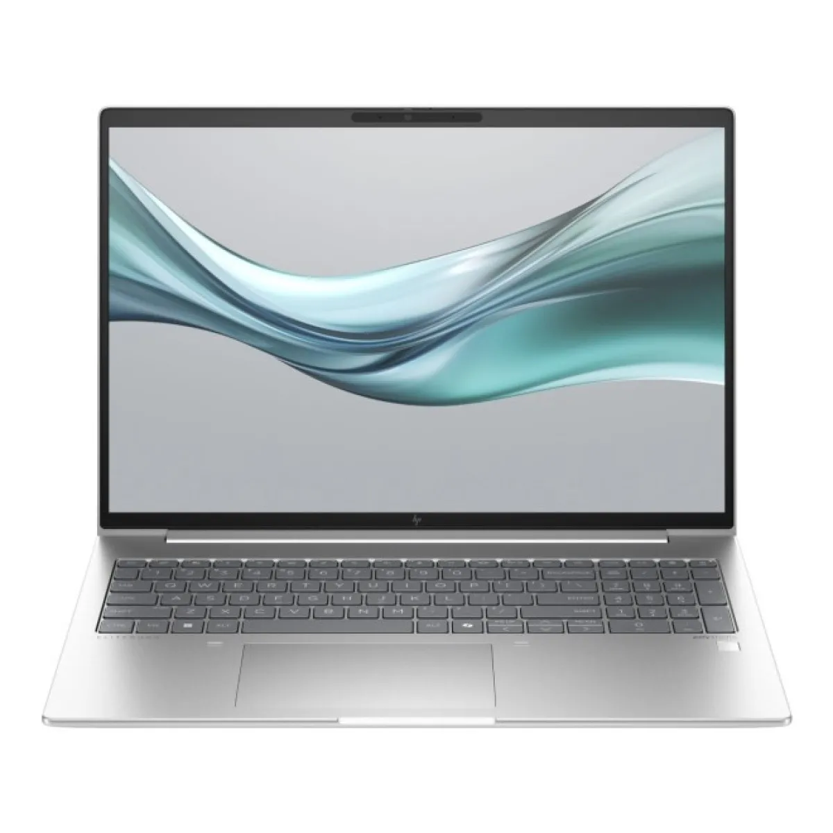 Ноутбук HP EliteBook 665 G11 (B13F8EG)