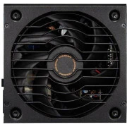 Cougar GLE 1000 (31GF010001P01) (UA)