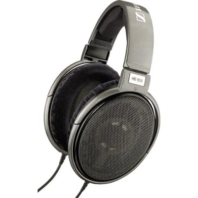Навушники без мікрофона Sennheiser HD 650 Чорний (508825)