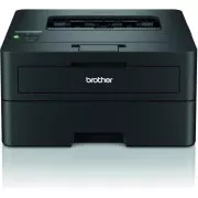 Принтер Brother HL-L2460DN (HLL2460DNYJ1) (UA)