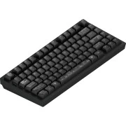 Dark Project ALU81 Terra Nova PBT RGB Mech G3MS Moonstone Black (DPKB_NOVA_81_ANSI_BLACK_UA) (UA)