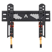 ATG W2455FB (VESA300х200)