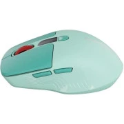 Canyon MW-26 Green (CNS-CMSW26GR) (UA)