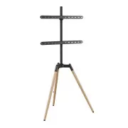 Gembird TVS-65S-01 (VESA600х400) (UA)