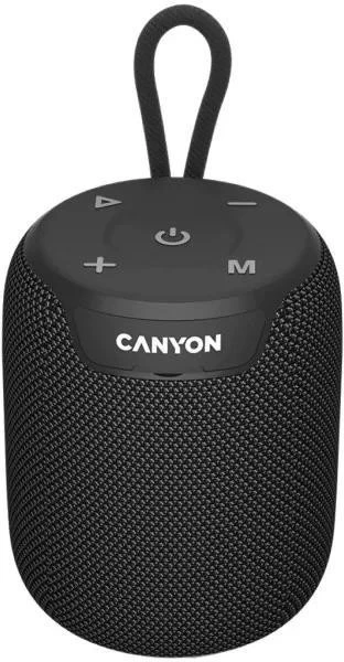 Акустична система Canyon 9 TWS 10W Black (CNE-CBTSP9) (UA)