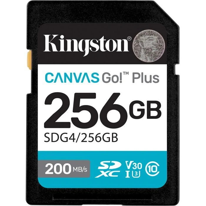 Карта памяти Kingston 256GB SDXC сlass 10 UHS-I U3 V30 Canvas Go Plus G4 (SDG4/256GB) (UA)