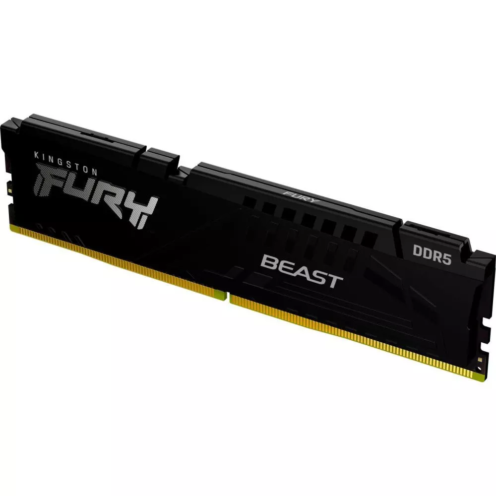 Оперативна пам'ять Kingston FURY 32 GB DDR5 5600 MHz Beast Black EXPO (KF556C40BB2-32) (UA)