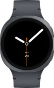 Samsung Galaxy Watch8 44 mm Graphite (SM-L330NDAASEK) (UA)