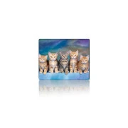 Voltronic Five Cats (YT-CAT30) (UA)