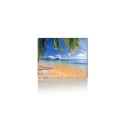 Voltronic Tropical Palm (YT-CAT7) (UA)