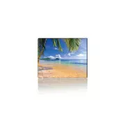 Voltronic Tropical Palm (YT-CAT7) (UA)