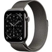 Apple Watch Series 11 GPS + Cellular 46mm Slate Tit. Case w. Slate Milanese Loop - S/M (MFD34)