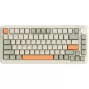 Ajazz AK820 MAX Flying Fish Switch RGB Wireless/Bluetooth/USB Beige (AK820MAX-FF-R) (UA)