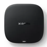 Медіаплеєр Xiaomi Mi Box S 4K 3nd Gen New (1168139) (UA)