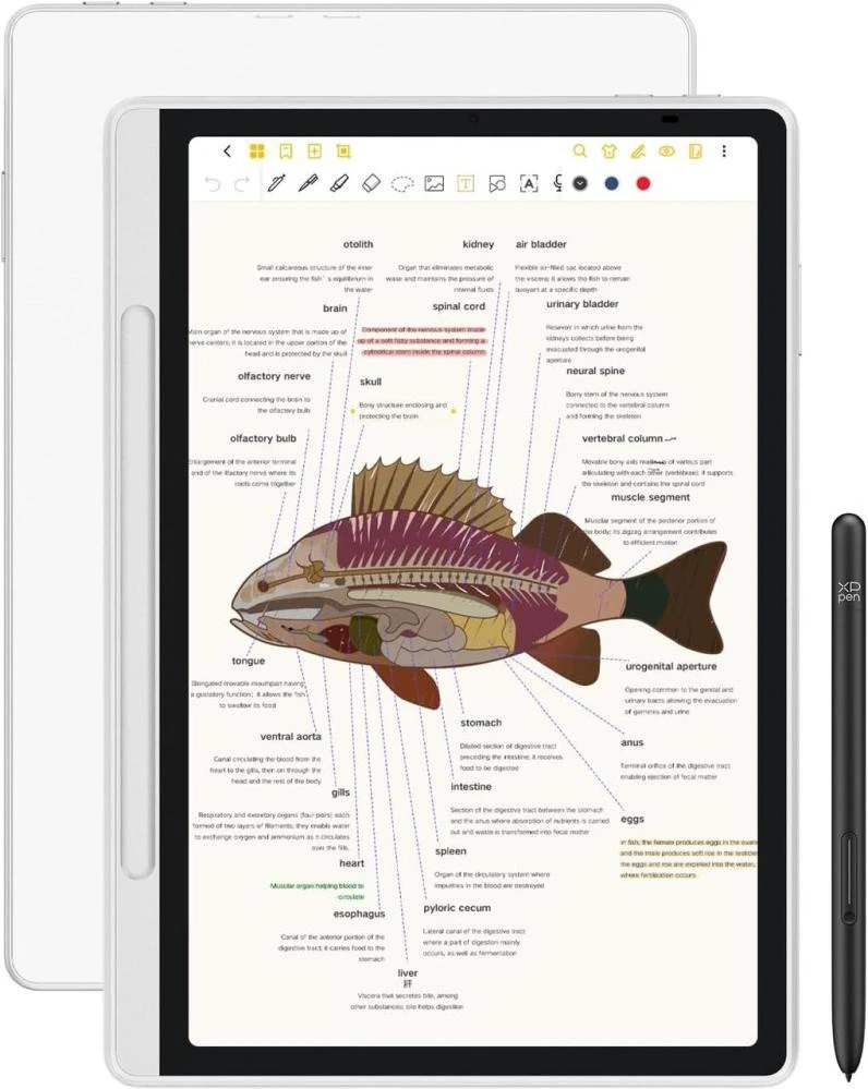 Графический планшет XP-Pen Magic Note Pad 10,9 (CDM1101U-BEU) (UA)