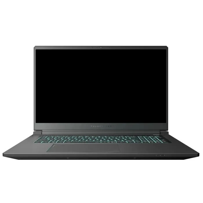 Ноутбук Thunderobot 911 X17 (911X17-i7136H56C1Q165MBD) (UA)