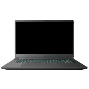 Thunderobot 911 X17 (911X17-i7136H56C1Q165MBD) (UA)