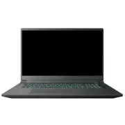 Thunderobot 911 X17 (911X17-i7136H56C1Q165MBD) (UA)