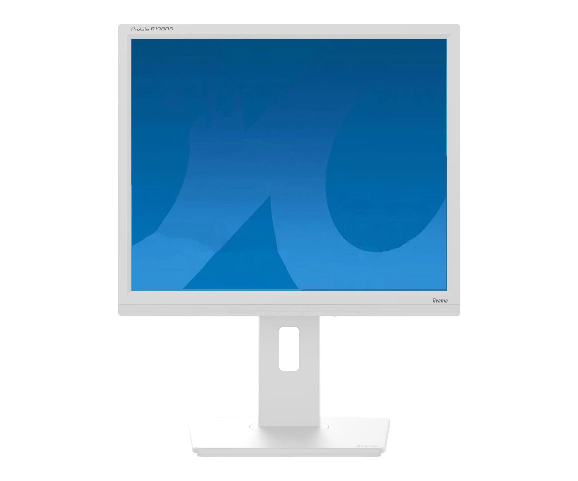 Монитор iiyama ProLite B1980S-W1 (B1980S-W1) EU