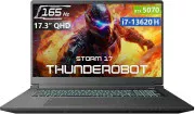 Thunderobot Storm 17 Gray (1NLYA000321)