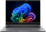 ASUS ExpertBook P3 PM3606CKA-PL0294 (90NX0981-M00A80) (UA)