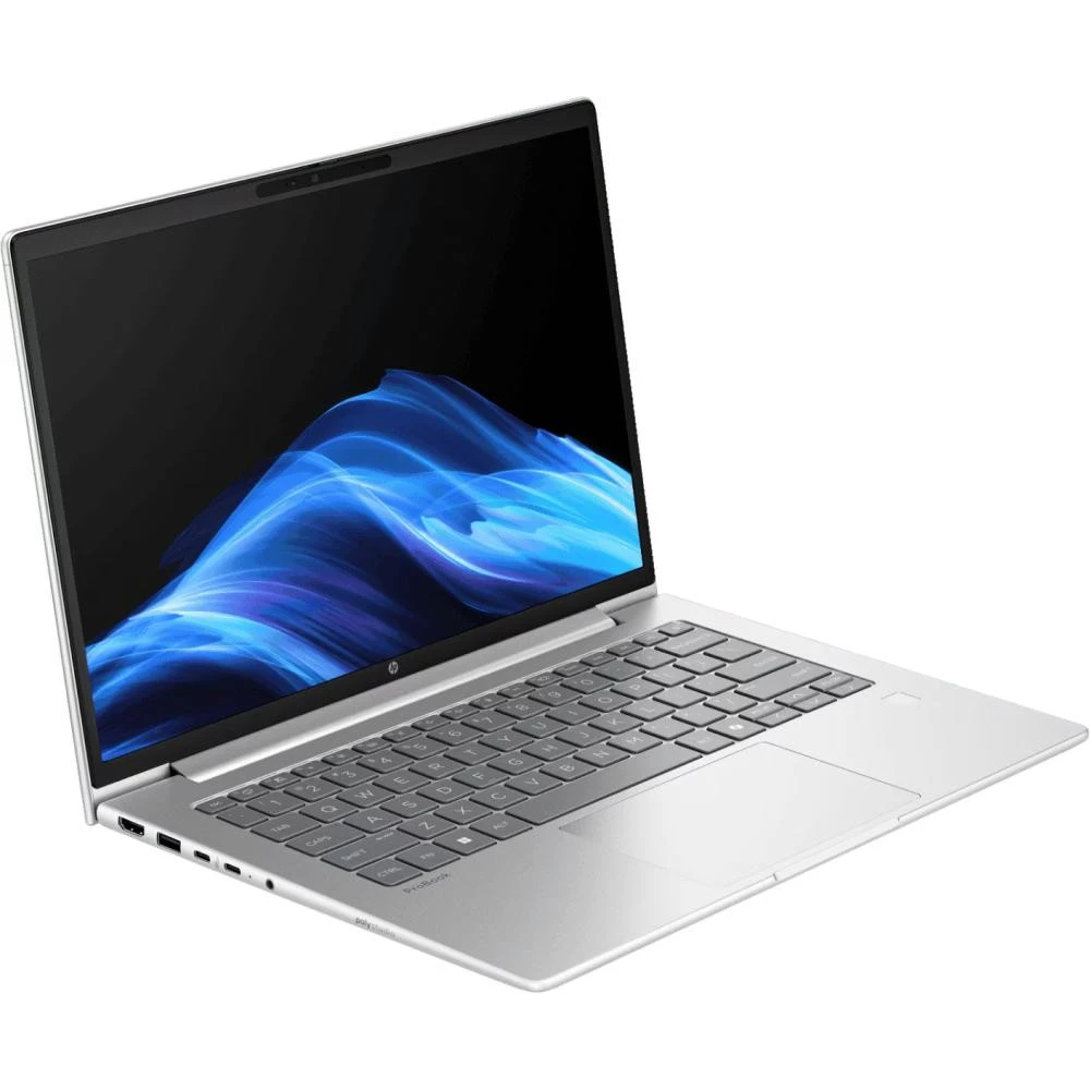 Ноутбук HP ProBook 4 G1a 14 (D4VG2ET) (UA)