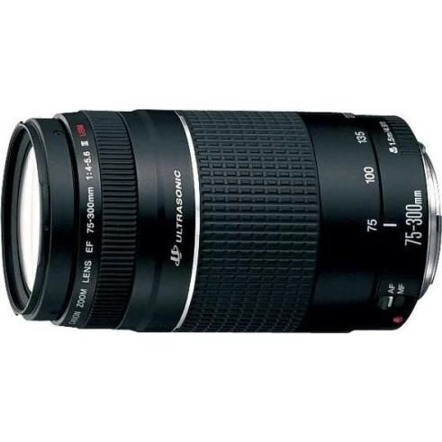 Объектив Canon EF 75-300mm f/4-5,6 III USM (7155C005) (UA)