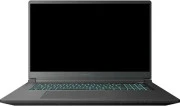 Thunderobot 911 X17 (911X17-13620H5070Q165HDUS)