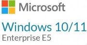 Windows 10/Windows 11 Microsoft Windows 10/11 Enterprise E5 P1Y Annual License (CFQ7TTC0LFNW_0002_P1Y_A) (UA)