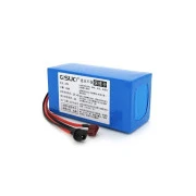 QiSuo Li-ion 24V 10A (QS-2410) (UA)