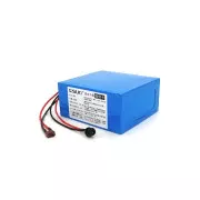 QiSuo Li-ion 24V 20A (QS-2420) (UA)