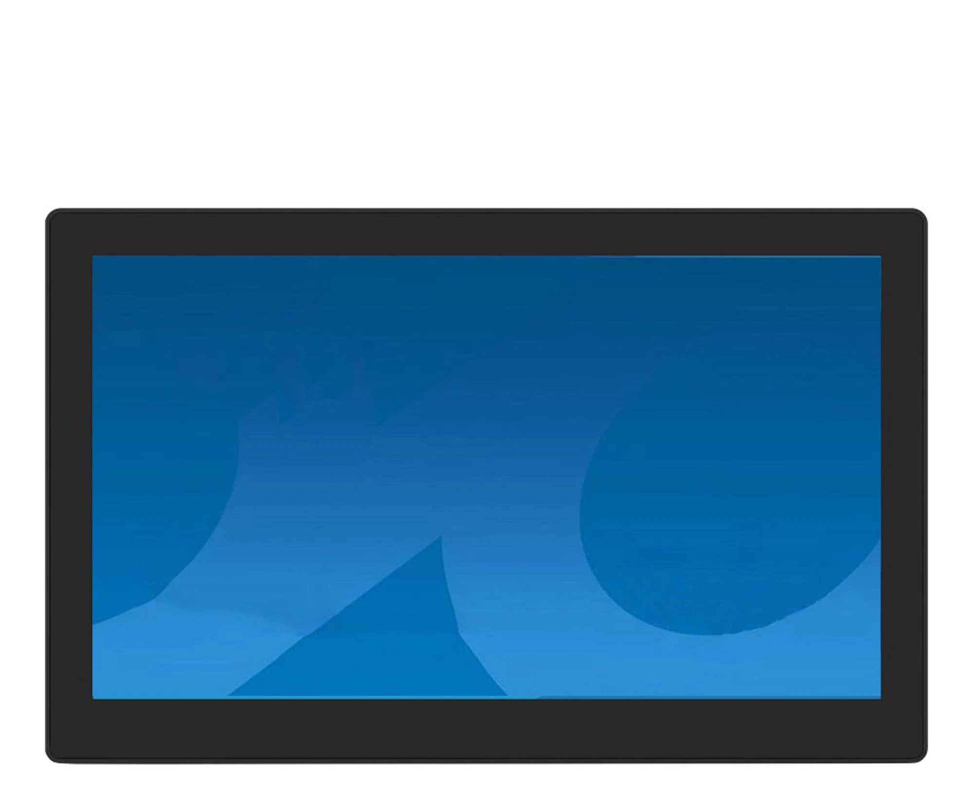 Монітор iiyama ProLite TW1023ASC-B3P Touch (UA)
