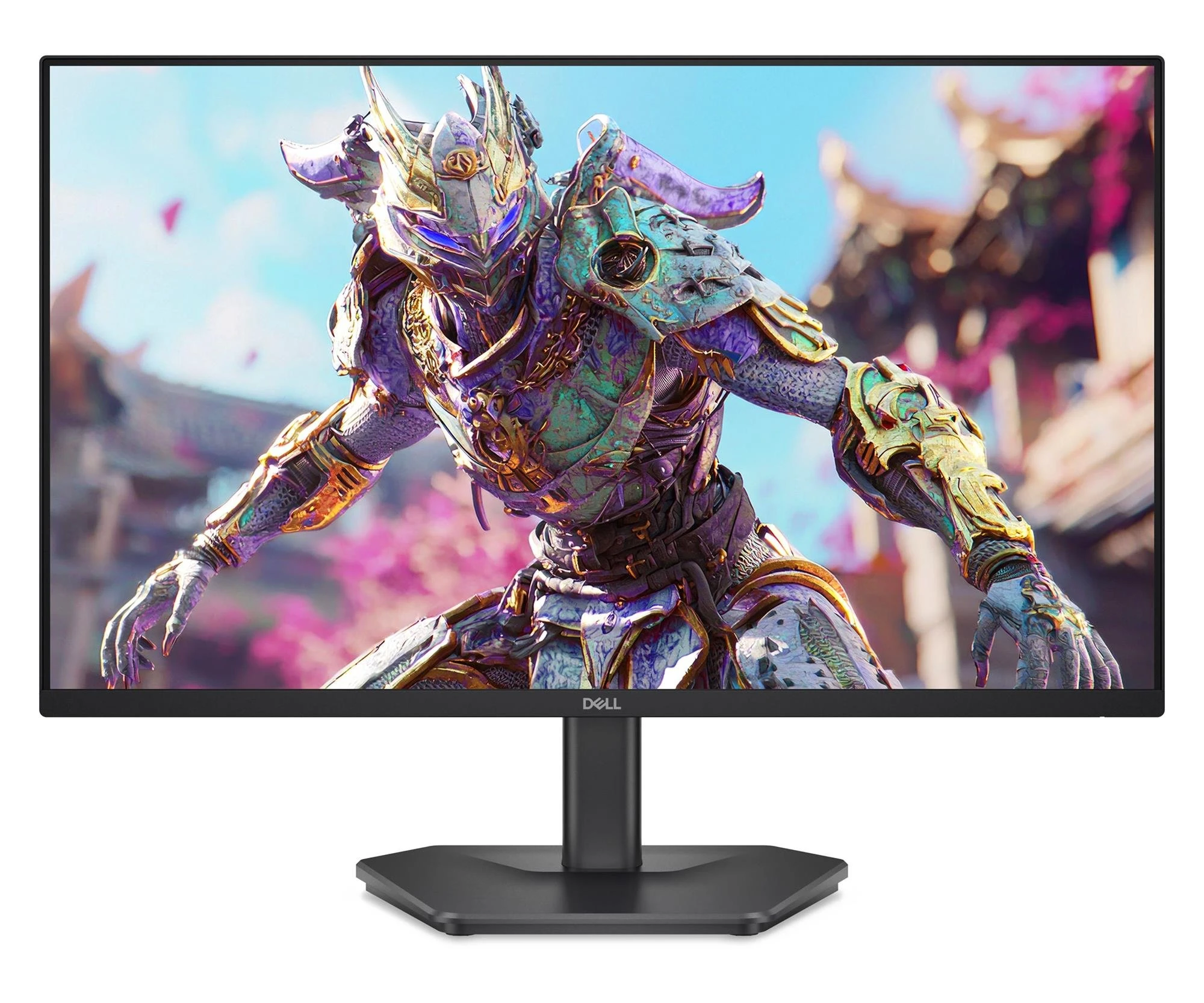 Монитор Dell SE2426HG (210-BTTF) EU