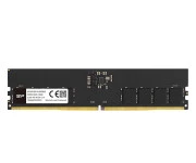 Silicon Power 32GB (1x32GB) 4800 CL40 (SP032GBLVU480F02) EU